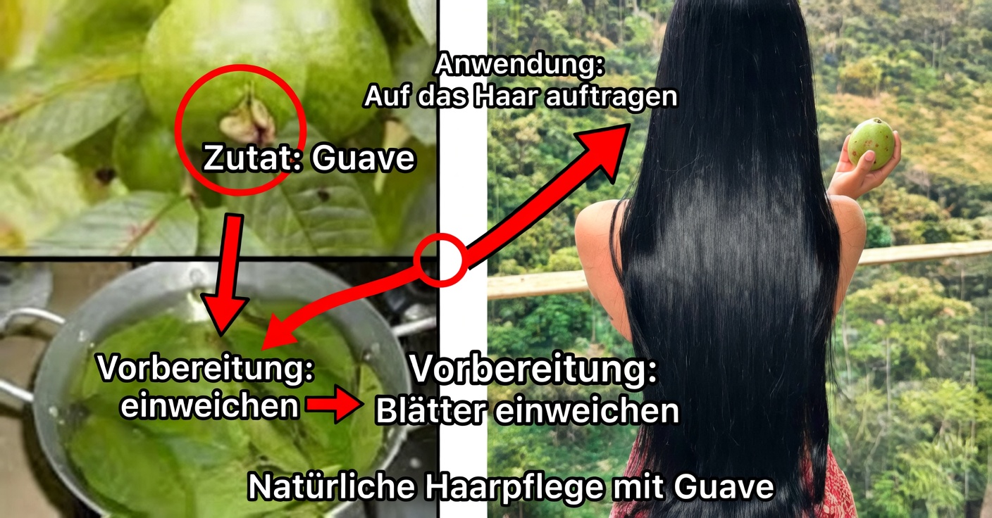 Guaven-Shampoo für das Haar