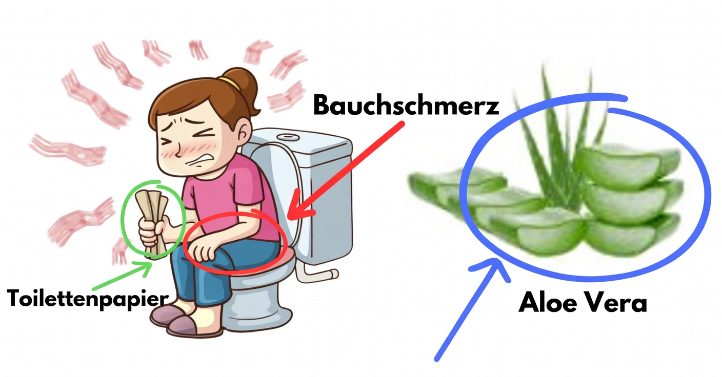 Aloe Vera zur Entgiftung und zur Verringerung von Schwellungen