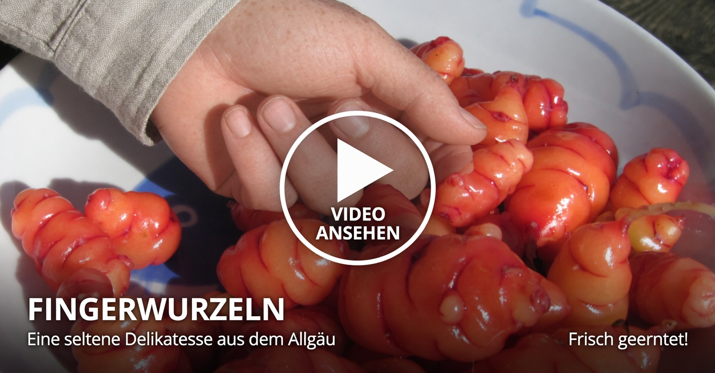 Kichererbsen und Eier: Eine eiweißreiche, fleischfreie Alternative