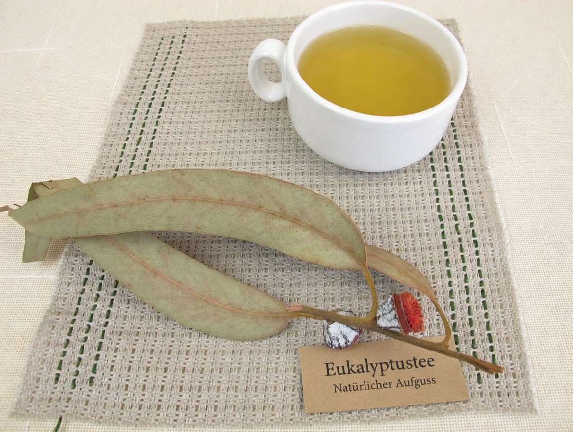 Eukalyptus-Tee – Wofür ist er gut? – Vorteile für Ihre Gesundheit und Schönheit