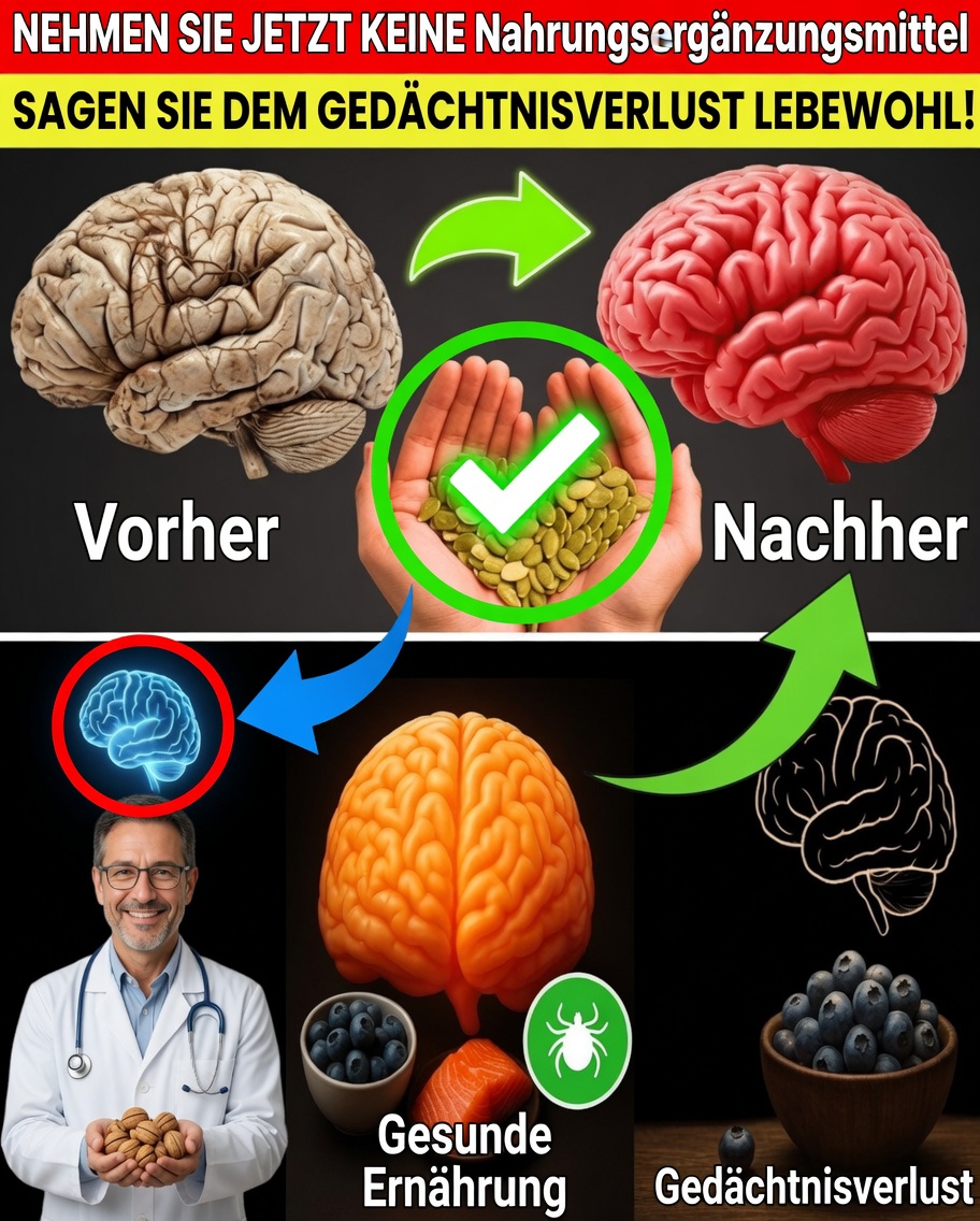 Dieser winzige Samen könnte der natürliche Schlüssel zu einem schärferen Gedächtnis nach 65 sein