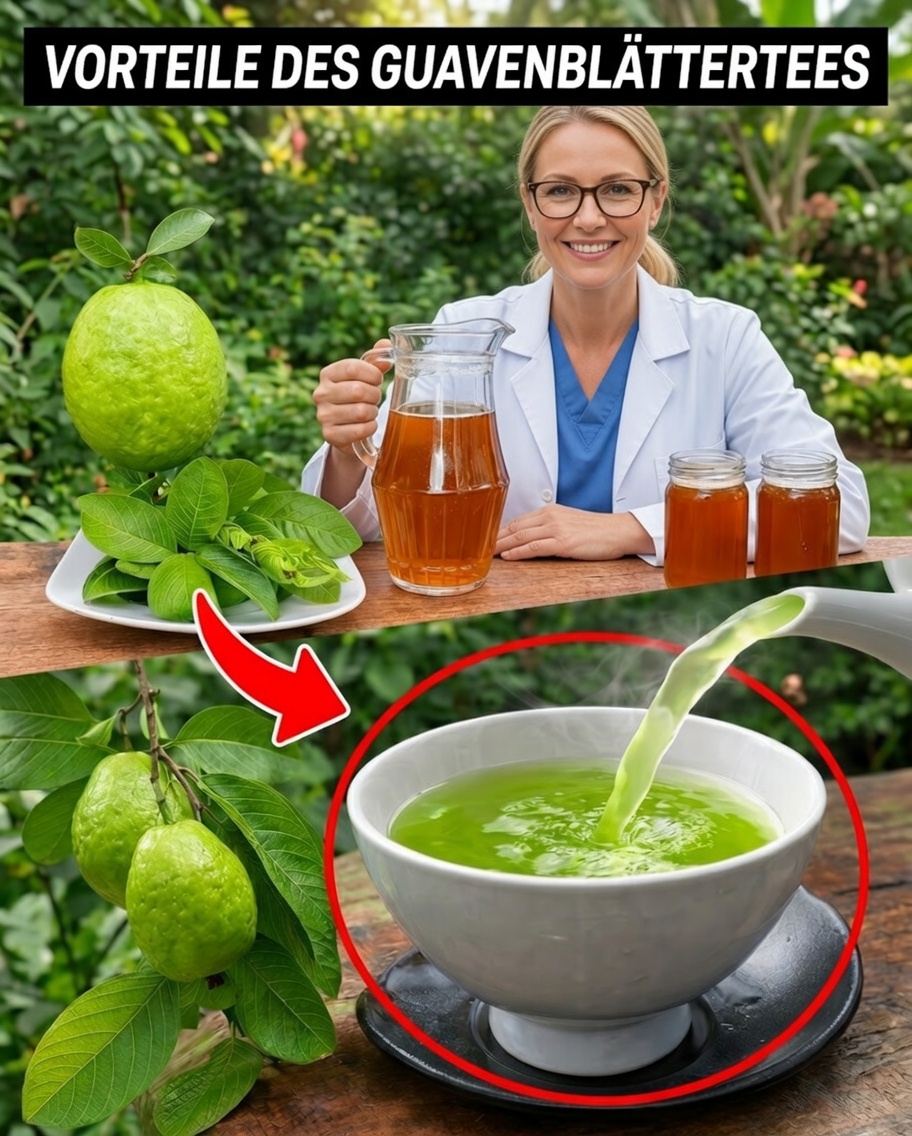 17 Gründe, zweimal pro Woche Guavenblatttee zu trinken
