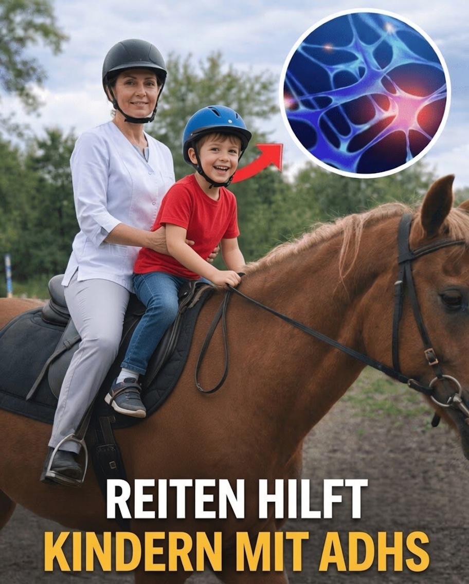 Kann Therapeutisches Reiten die Entwicklung von Sprache und Denken bei Kindern mit Autismus oder geistiger Behinderung fördern?