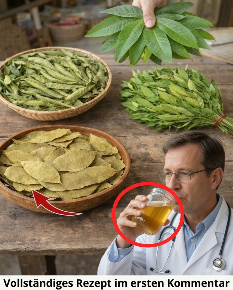 Die vier Heilblätter: Avocado, Mango, Lorbeer und Guave – Ein Geschenk der Natur für Ihr Wohlbefinden