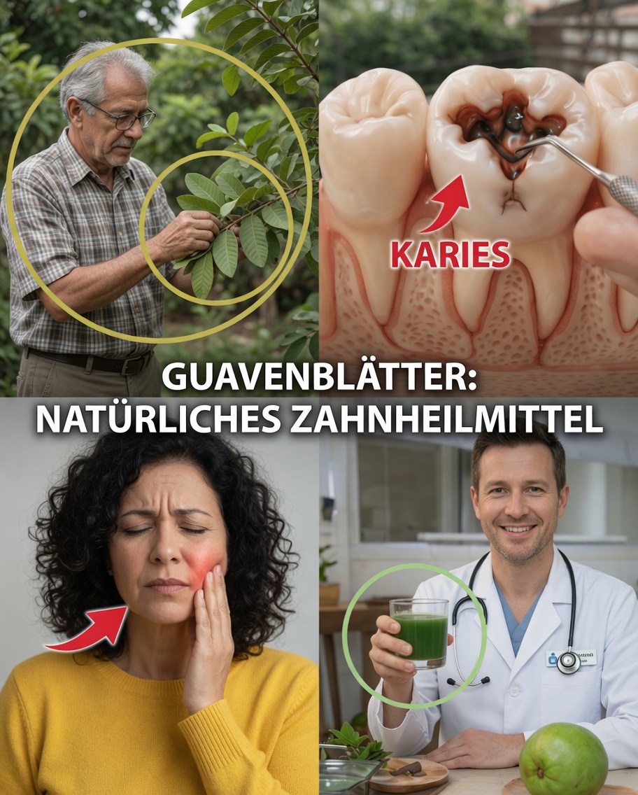 Top 3 einfache Möglichkeiten, Guavenblätter in die tägliche Mundgesundheitspflege einzubinden – einfache Ideen zum Selbermachen zu Hause