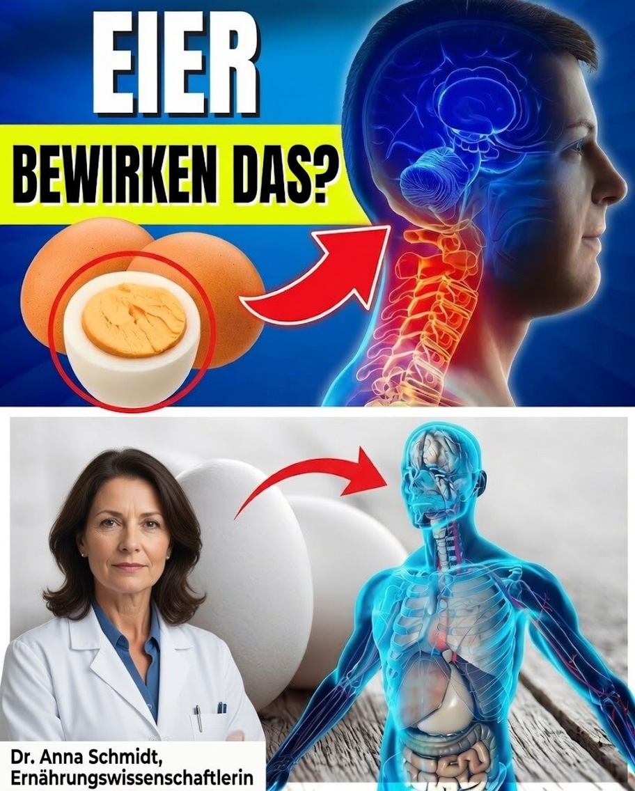 Was passiert mit deinem Körper, wenn du jeden Tag Eier isst? 8 überraschende Vorteile, die du nicht ignorieren solltest