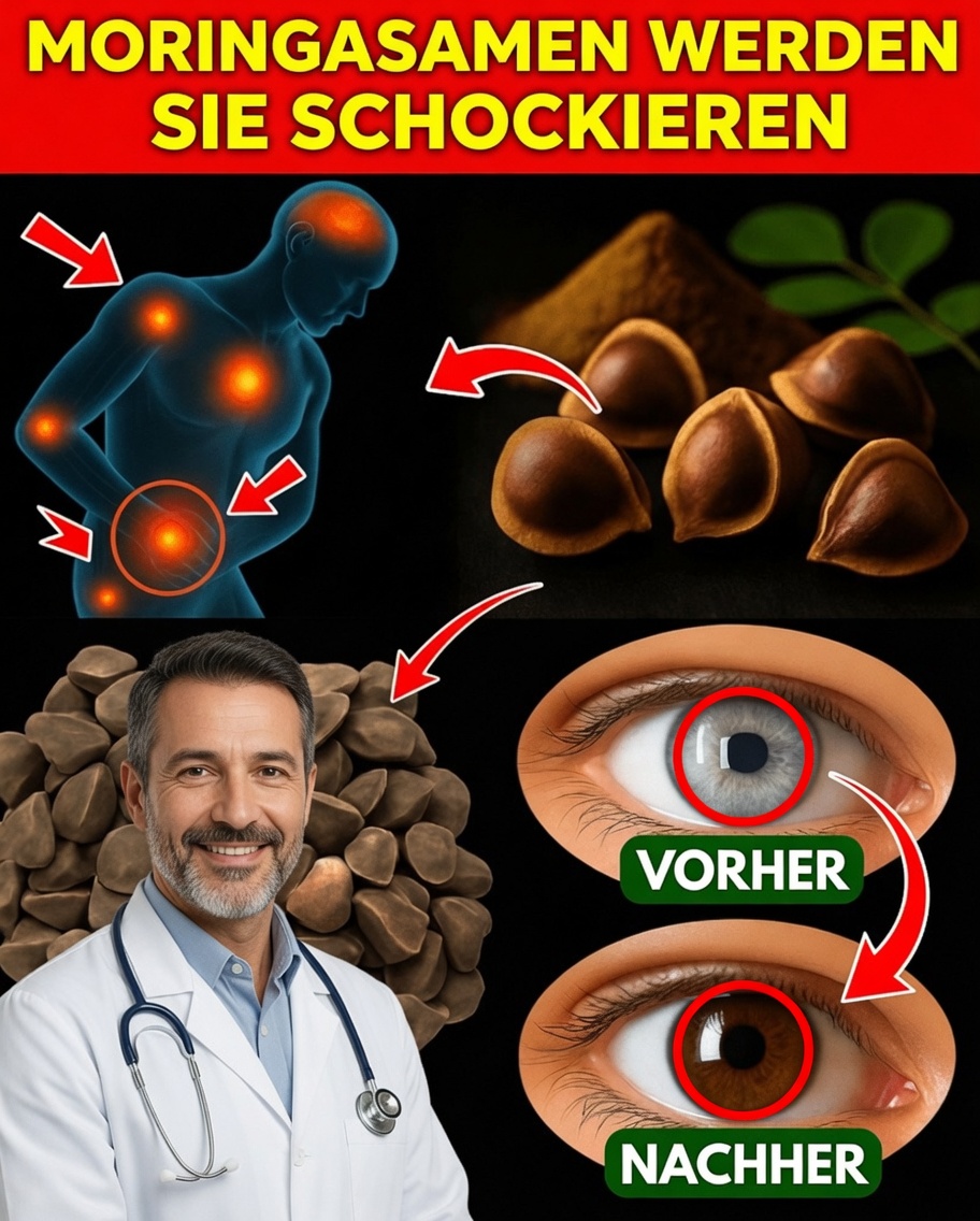 12 kraftvolle Vorteile von Moringa-Samen, von denen Sie wahrscheinlich noch nie gehört haben