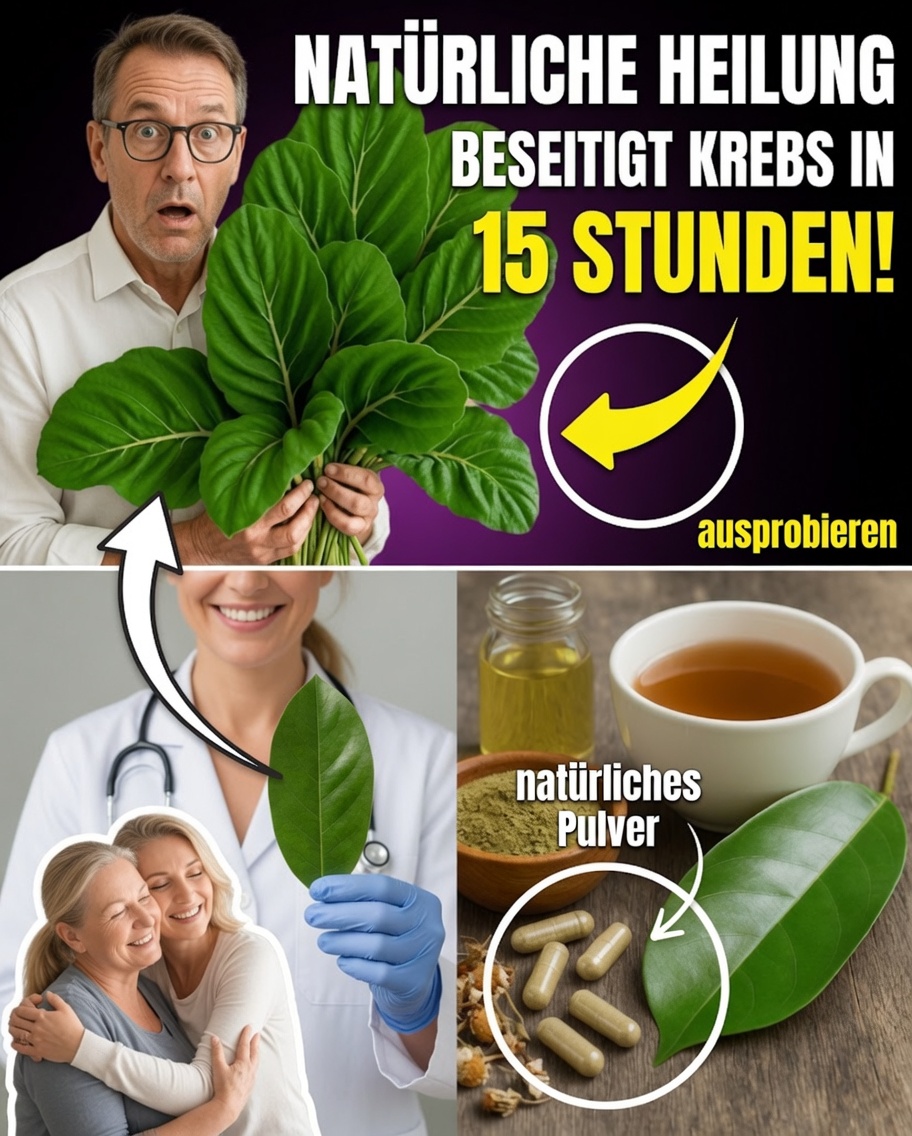 Dieses uralte Blatt erlebt ein modernes Comeback – sollten Sie es in Betracht ziehen?