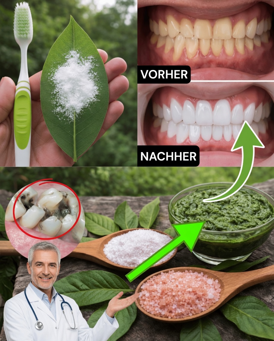 Entdecken Sie einen einfachen natürlichen Trick mit Guavenblättern zur Unterstützung Ihrer Mundgesundheit