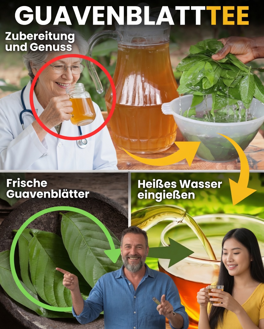 Guavenblättertee: Ein einfaches tägliches Ritual, um Energie, Verdauung und Ausstrahlung wiederherzustellen