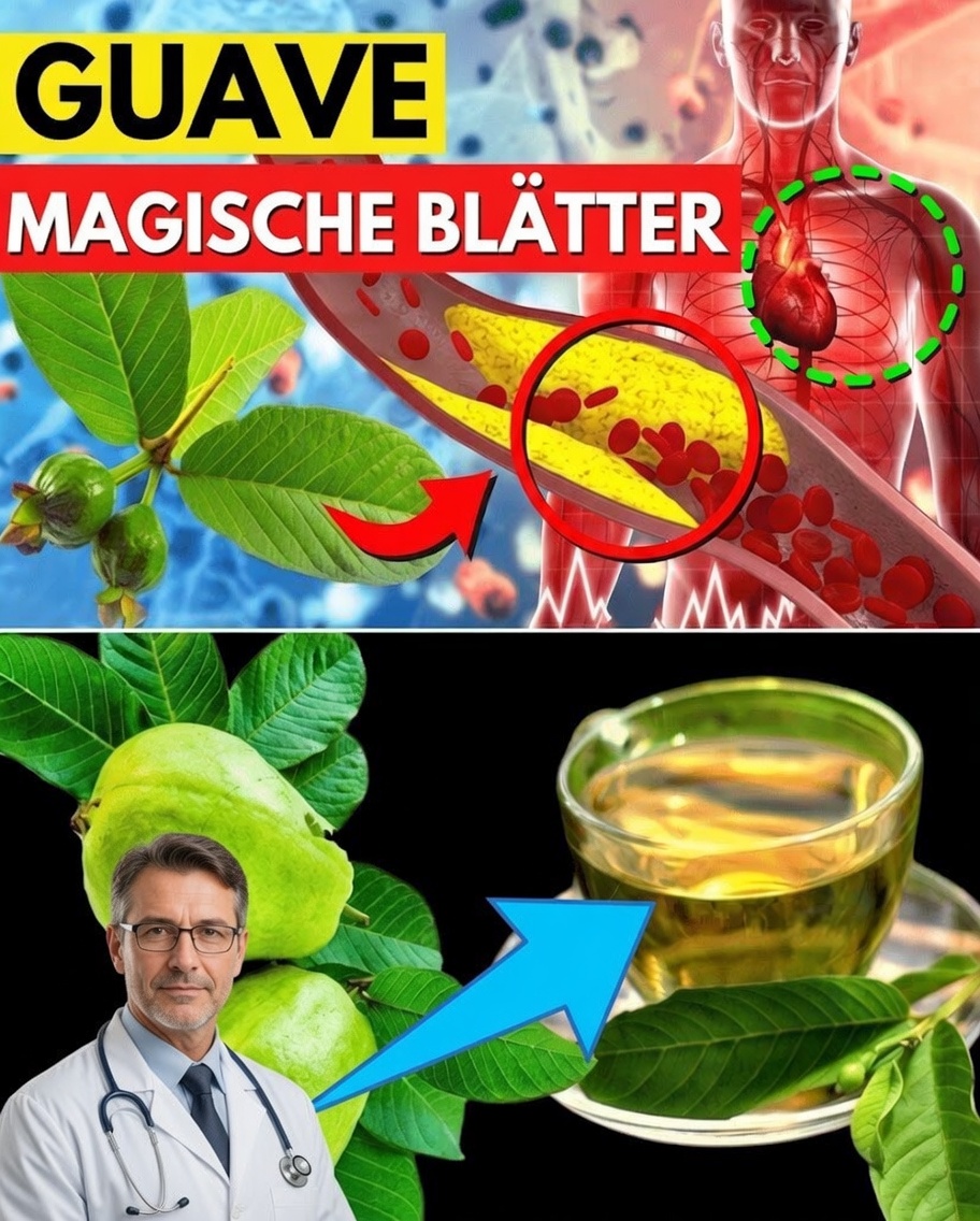 17 kraftvolle Gründe, zweimal pro Woche Guavenblatttee zu trinken