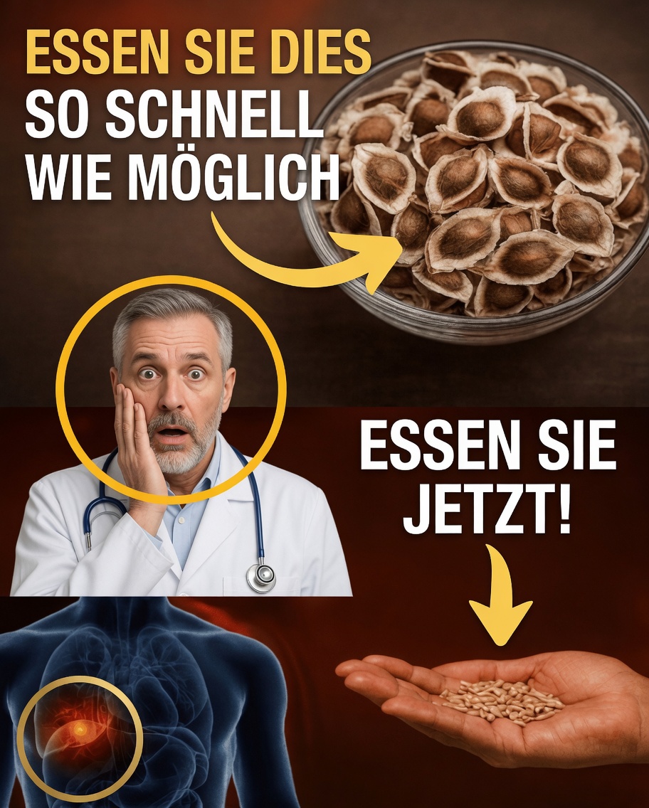 6 Samen, die Senioren jeden Tag essen sollten, um Krebs auf natürliche Weise zu bekämpfen