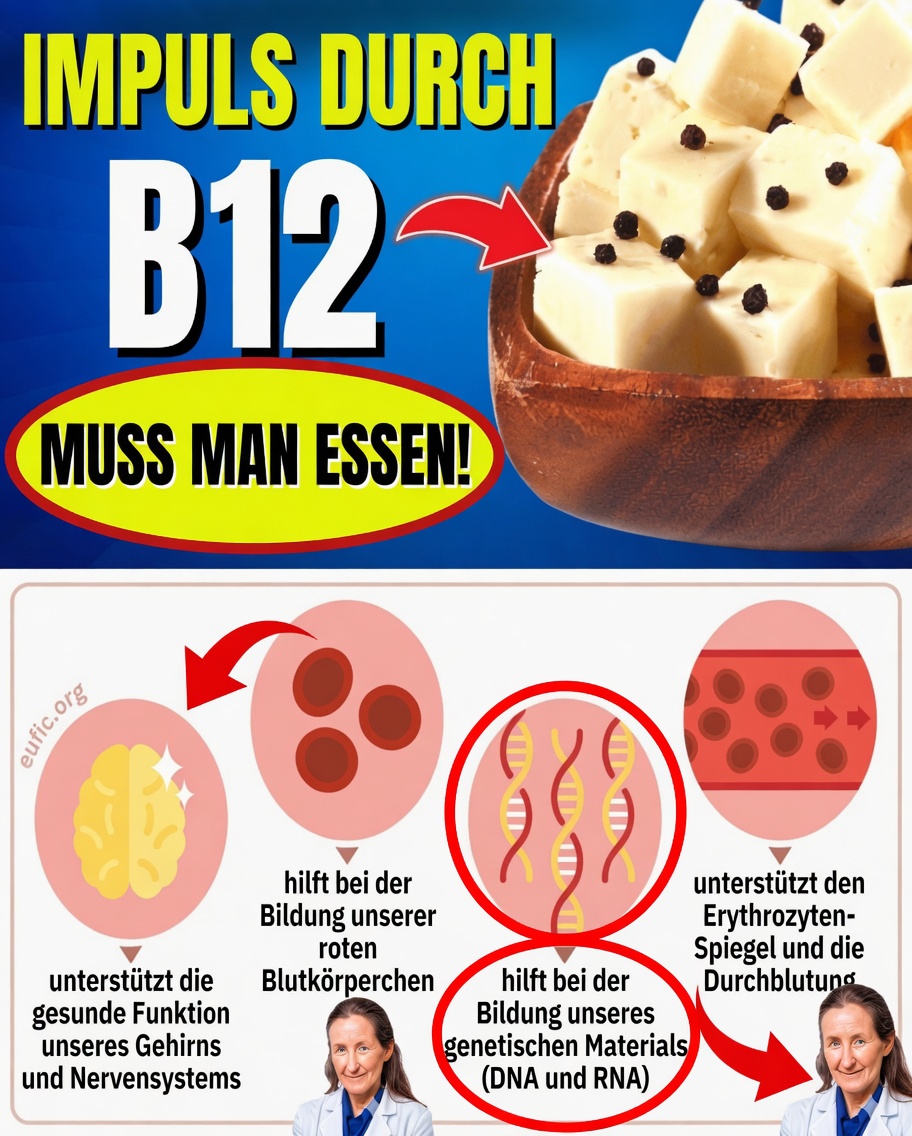 7 vitamin-B12-reiche Lebensmittel, um dem Gehirnnebel Lebewohl zu sagen