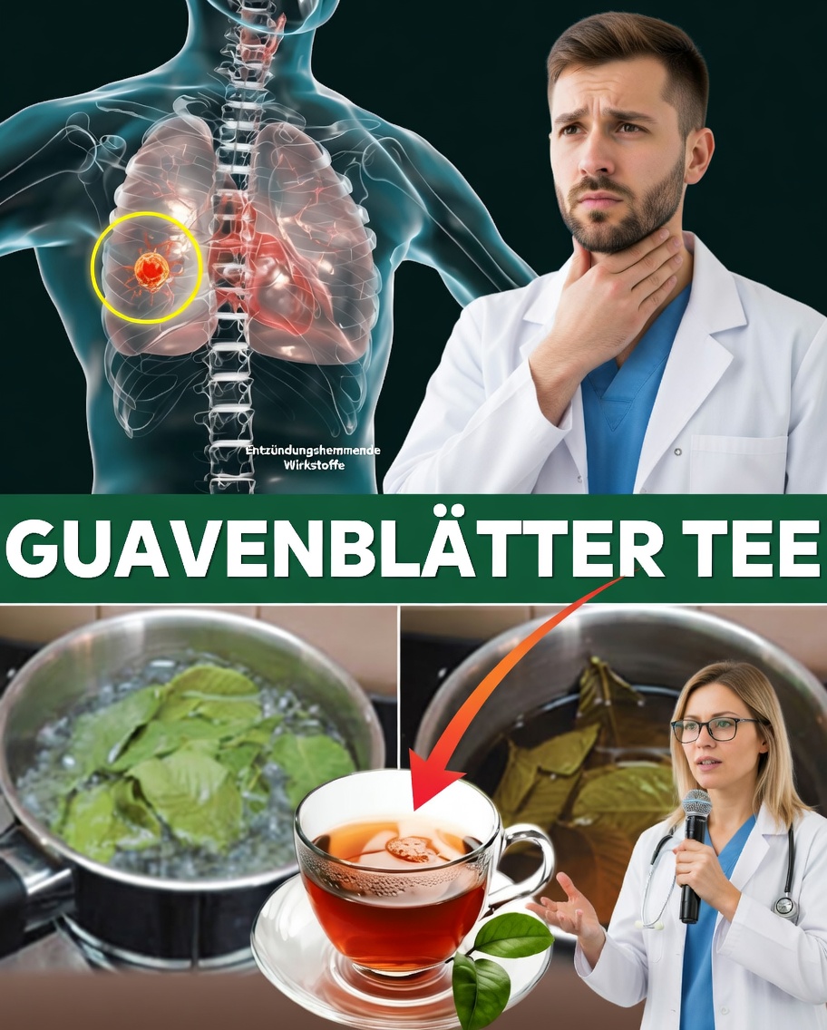 17 kraftvolle Gründe, zweimal pro Woche Guavenblättertee zu trinken