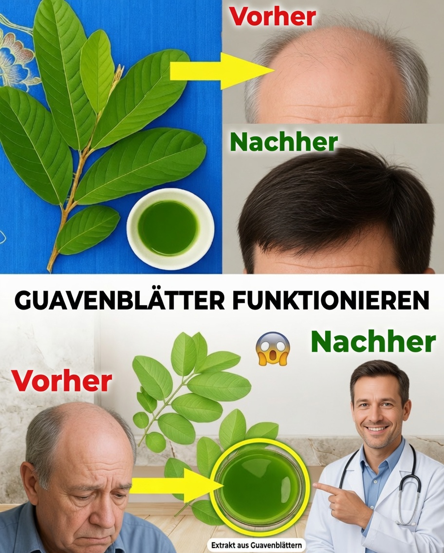 Von den Wurzeln bis in die Spitzen: Guavenblätter zur Erneuerung des Haares