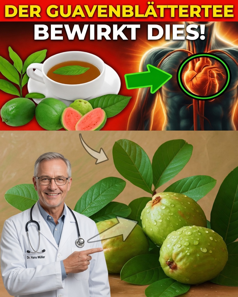 Das alte Geheimnis der Guavenblätter, das das moderne Wohlbefinden wiederentdeckt