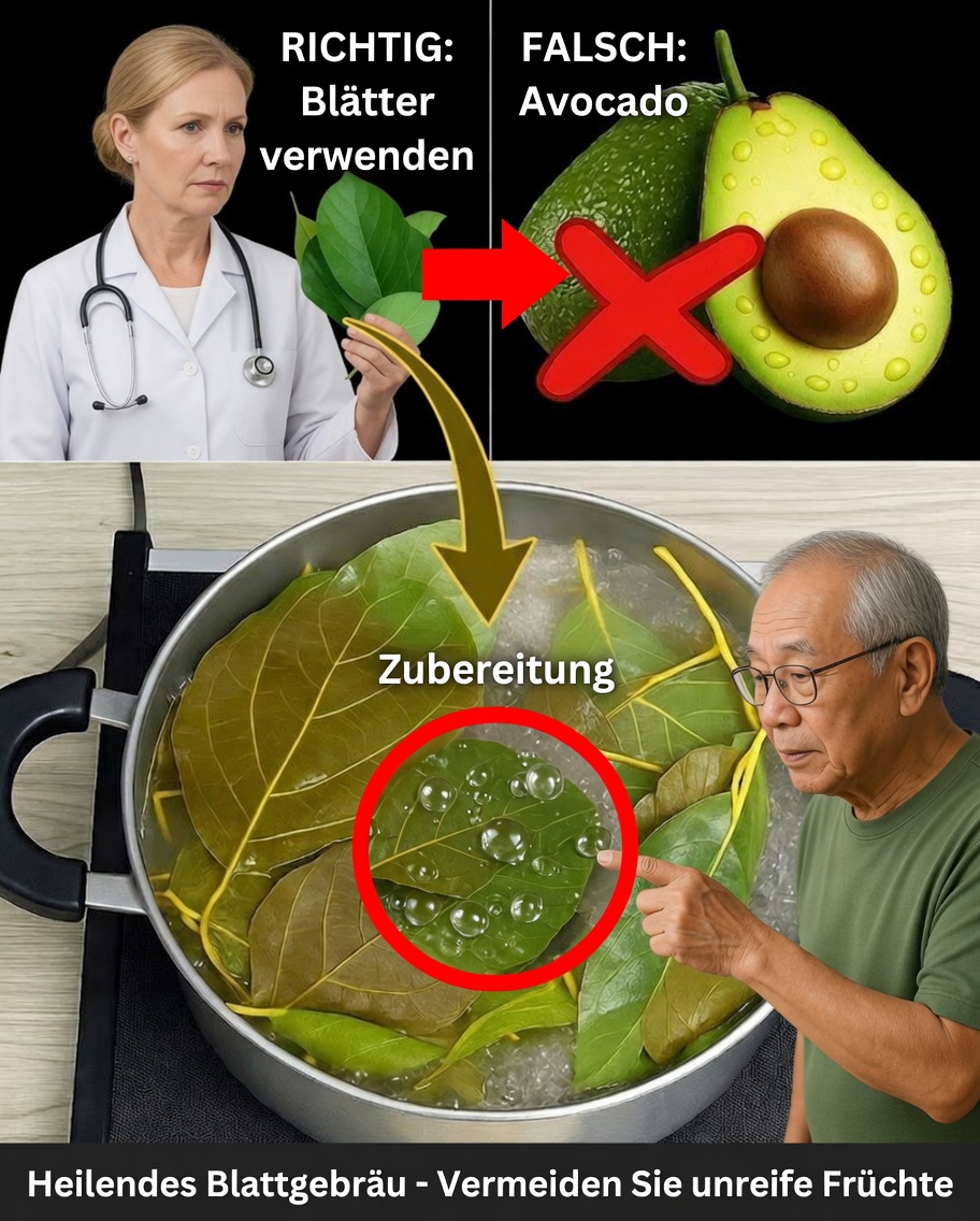 Avocadoblätter enthüllt: Das natürliche Superfood, das fast niemand verwendet