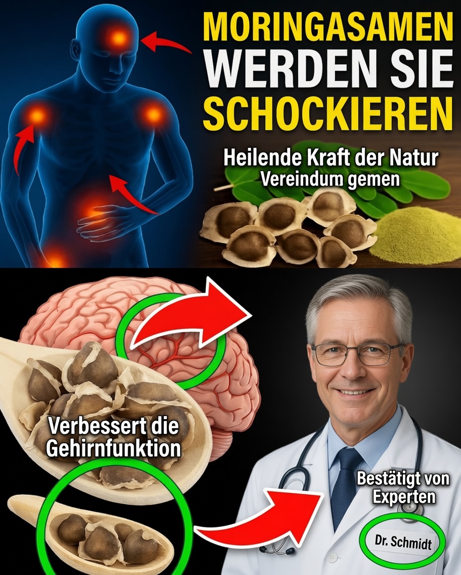 Warum Moringa-Samen ein verborgener Schatz für Ihre Gesundheit sind