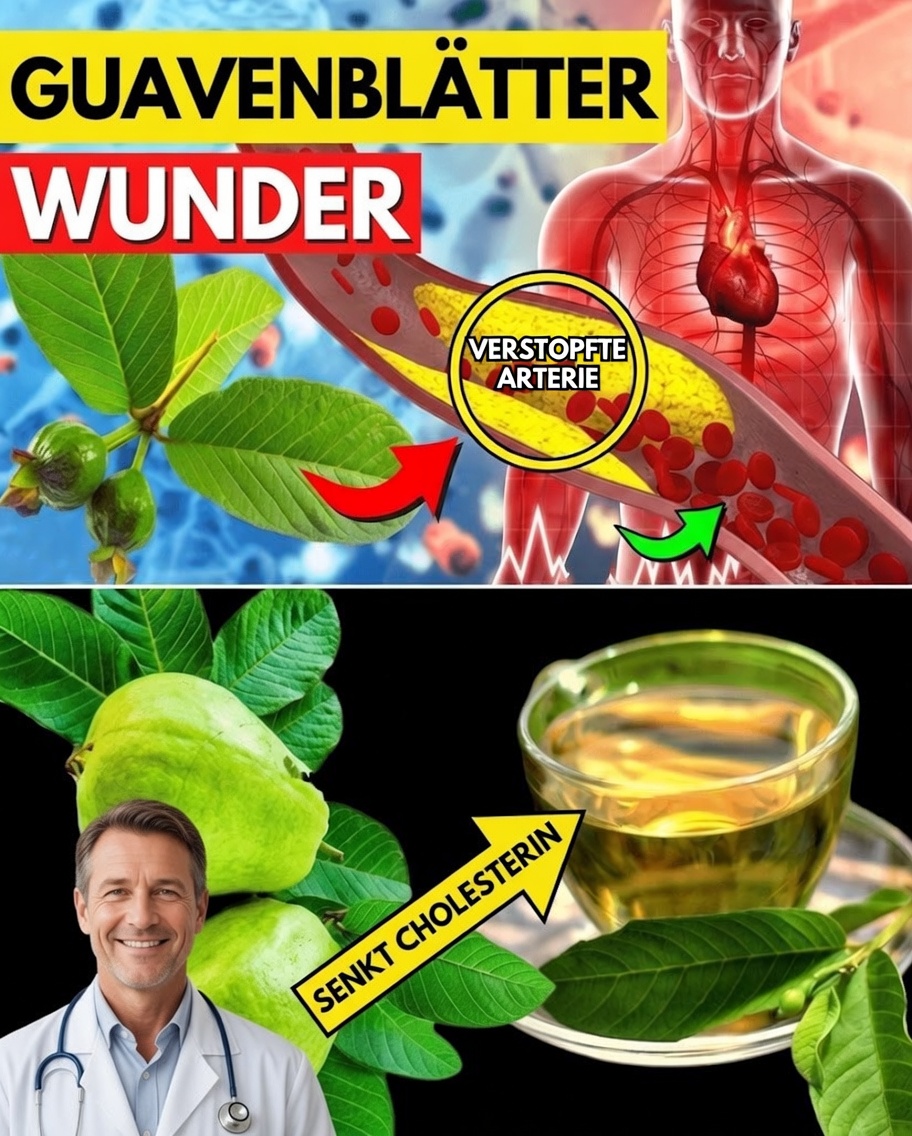 17 Kraftvolle Gründe, zweimal pro Woche Guavenblättertee für eine bessere Gesundheit zu trinken